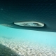 Deska SUP Jobe E-Duna Elite SUP Board 11.6 Package